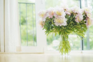 Bouquet of peonies in a vase beside a window