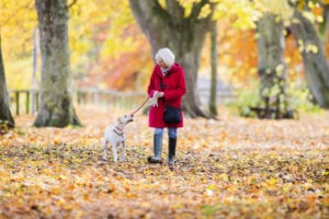 Senior woman walking in park with dog in autumn